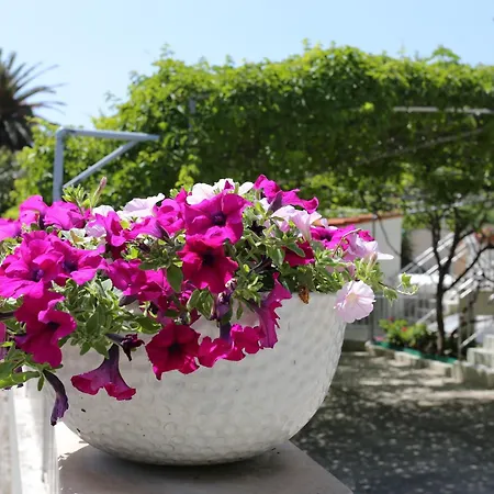 With Parking Space Orebic, Peljesac - 4513 أوروبيتش